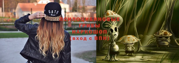 гидра Корсаков
