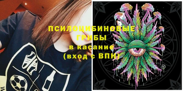 PSILOCYBIN Костерёво