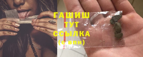 гидра Корсаков