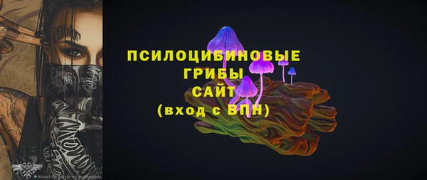 PSILOCYBIN Костерёво