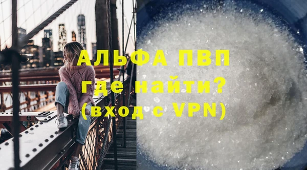 гидра Корсаков