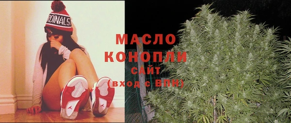 гидра Корсаков