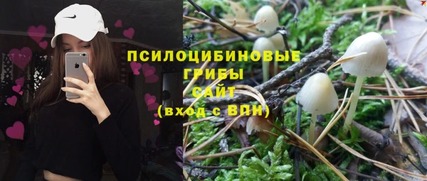 PSILOCYBIN Костерёво