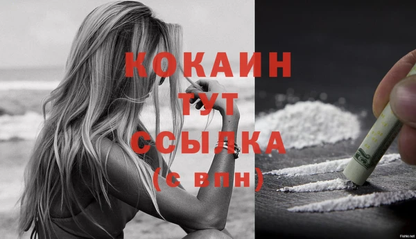 PSILOCYBIN Костерёво