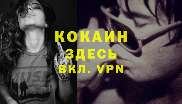 гидра Корсаков
