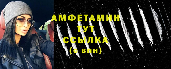 гидра Корсаков