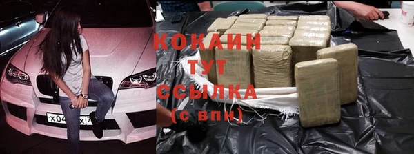 гидра Корсаков