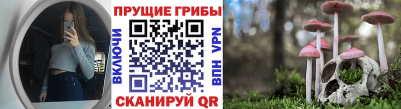 Галлюциногенные грибы Psilocybine cubensis  где можно купить   Сим 